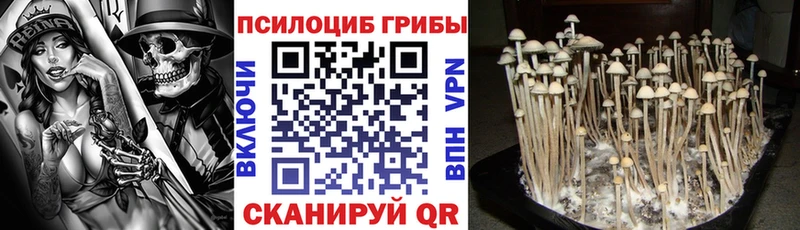 Галлюциногенные грибы Psilocybe blacksprut рабочий сайт Лесосибирск купить наркотик